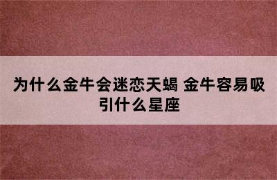 为什么金牛会迷恋天蝎 金牛容易吸引什么星座